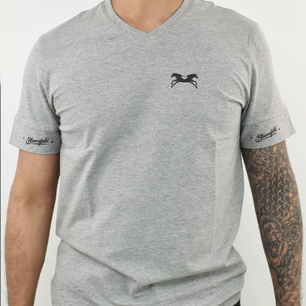 Men's Gray V-neck T-Shirt with black logo.